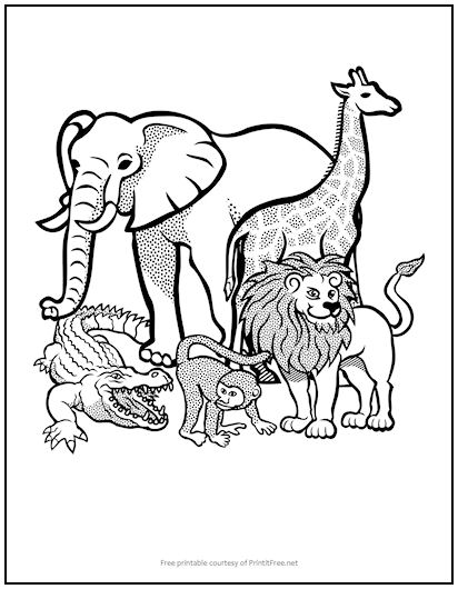 African Animals Kids Coloring Page | Print it Free