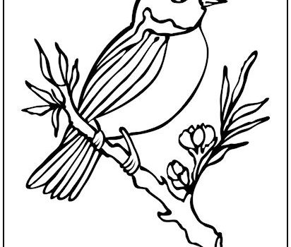 Bird on a Branch Coloring Page