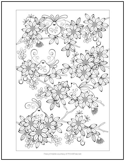 Birds and Flowers Coloring Page | Print it Free
