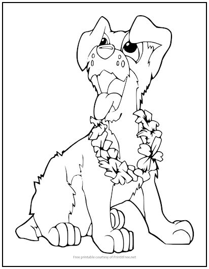 Dog with Lei Coloring Page