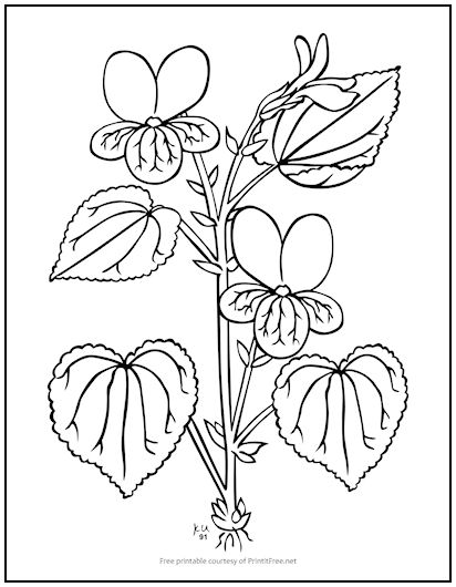 Flower Stem Coloring Page