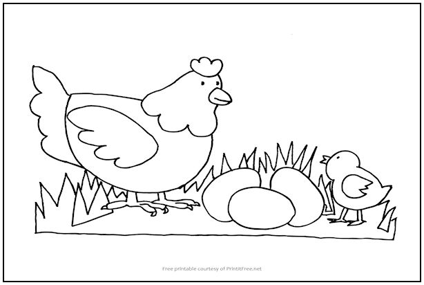 Hen with Eggs Coloring Page