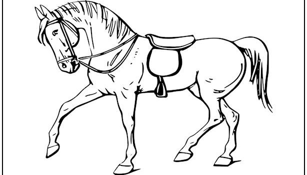 Horse Coloring Page Horse Coloring Page