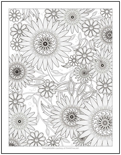 Floating Daisies Coloring Page