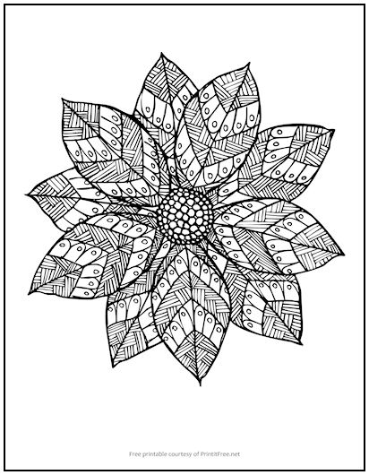 Patterned Poinsettia Coloring Page