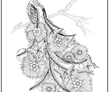 Peacock Butterflies Coloring Page