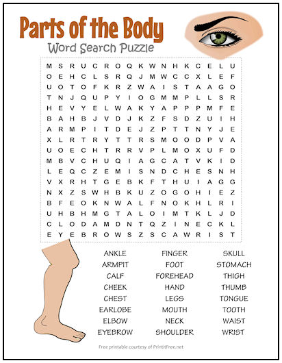 Body Parts Word Search Puzzle