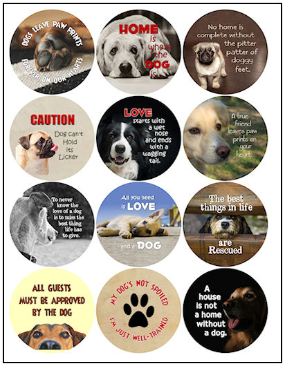 Dog Sayings 2-1/4" Magnet Designs