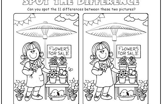 Flowers For Sale Spot the Difference Picture Puzzle