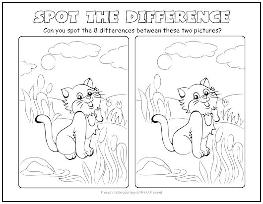 Kitty Cat Spot the Difference Picture Puzzle