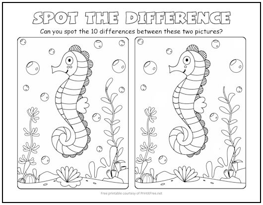 Seahorse Spot the Difference Picture Puzzle
