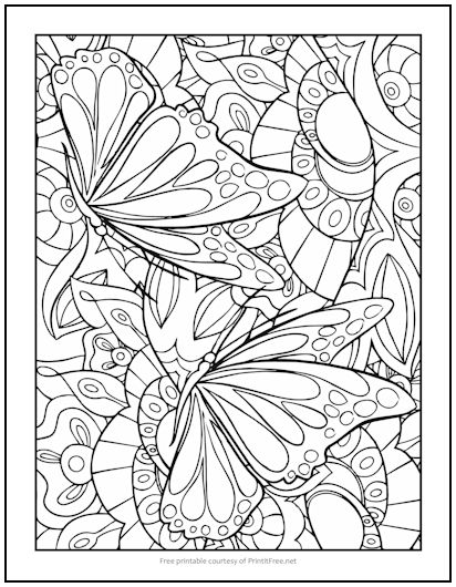 Butterfly Dreams Coloring Page