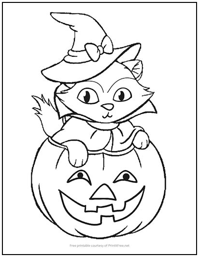 Kitten in Pumpkin Halloween Coloring Page