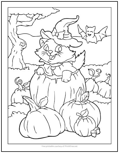 Witch Cat in Pumpkin Patch Halloween Coloring Page