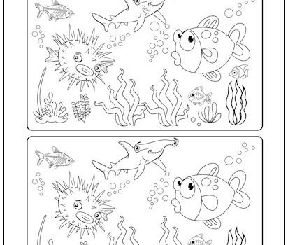 Sea Life Spot the Difference Picture Puzzle Sea Life Spot the Difference Picture Puzzle