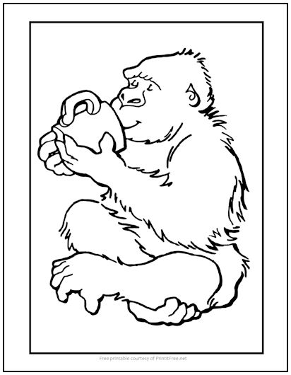 Gorilla with Coffee Coloring Page