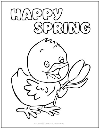 Happy Spring Chick Coloring Page