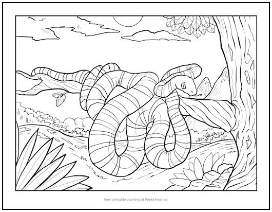 Snake in Tree Coloring Page