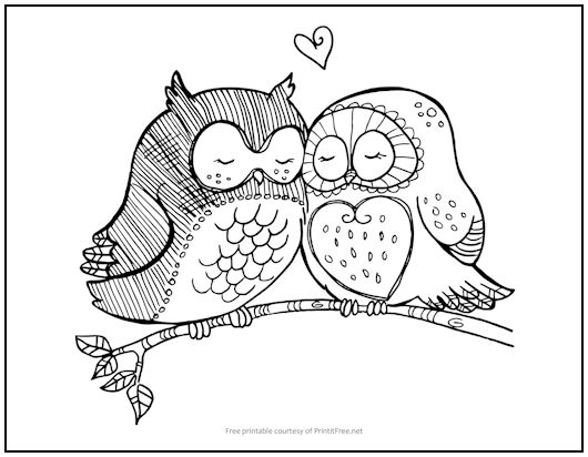 Owls in Love Coloring Page