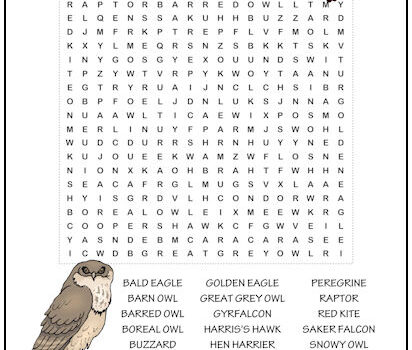Birds of Prey Word Search Puzzle