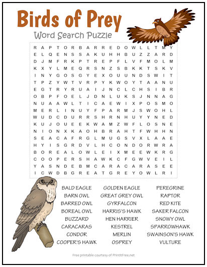 Birds of Prey Word Search Puzzle