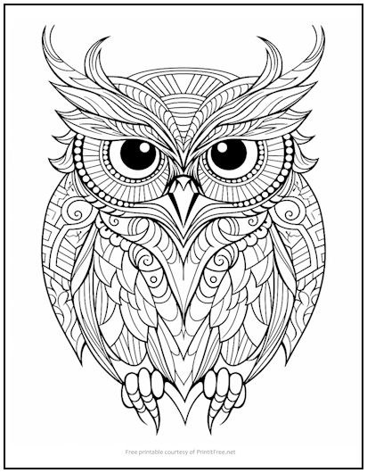 Zentangle Owl Coloring Page