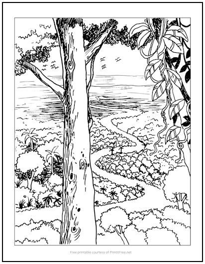 Nature's Path Coloring Page