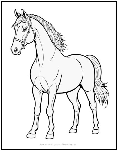 Handsome Horse Coloring Page