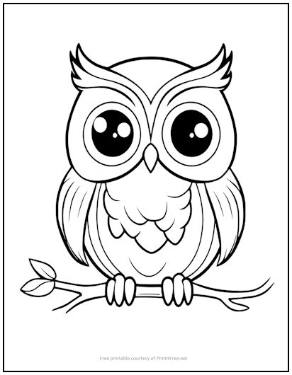 Owl on Branch Coloring Page