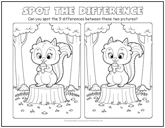 Forest Squirrel Spot the Difference Picture Puzzle