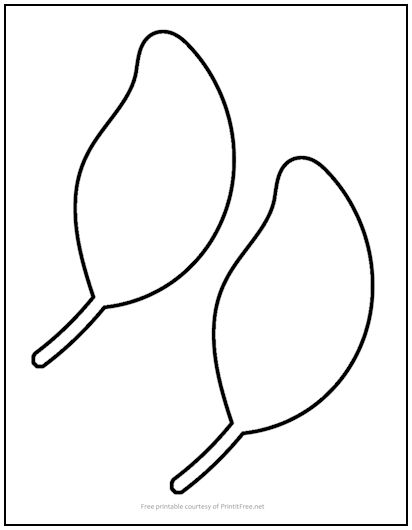 Beech Leaf Cutout Shapes Medium