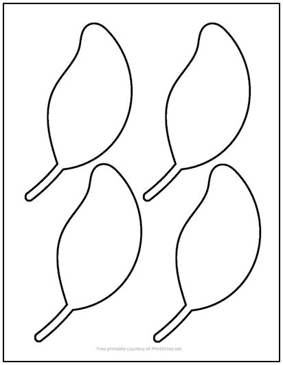Beech Leaf Cutout Shapes Small