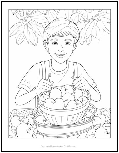 Boy with Apples Coloring Page