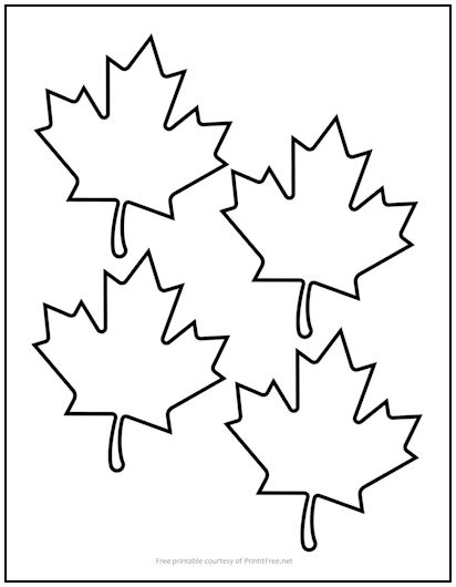 Maple Leaf Cutout Shapes Small