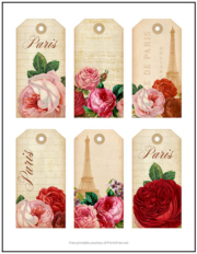 Flowers in Paris Gift Tags