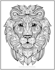 Zentangle Lion Coloring Page
